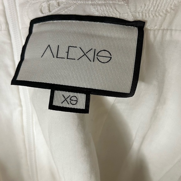 Alexis Eyelet Embroidered Mini Skirt in White - Picture 4 of 5